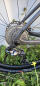 Preview: BOTTECCHIA 55BZ Gravel SL Shimano GRX Di2 24s Demobike